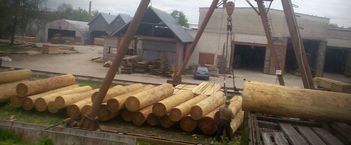 Holz Entrindung und Vorbereitung zum Schneiden