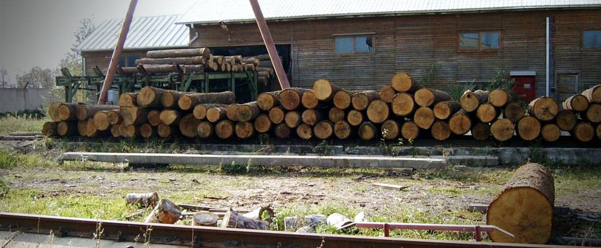 Sélection des matières premières et de la préparation de la transformation